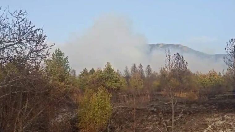 ЦУК: 24 пожари на отворен простор, осум и натаму активни