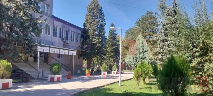 Тригодишно дете затруено од инсктициди