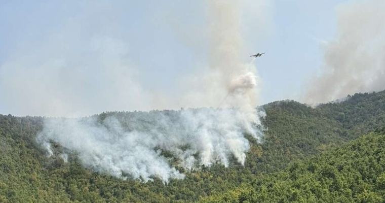 23 пожари низ Македонија, 8 се активни