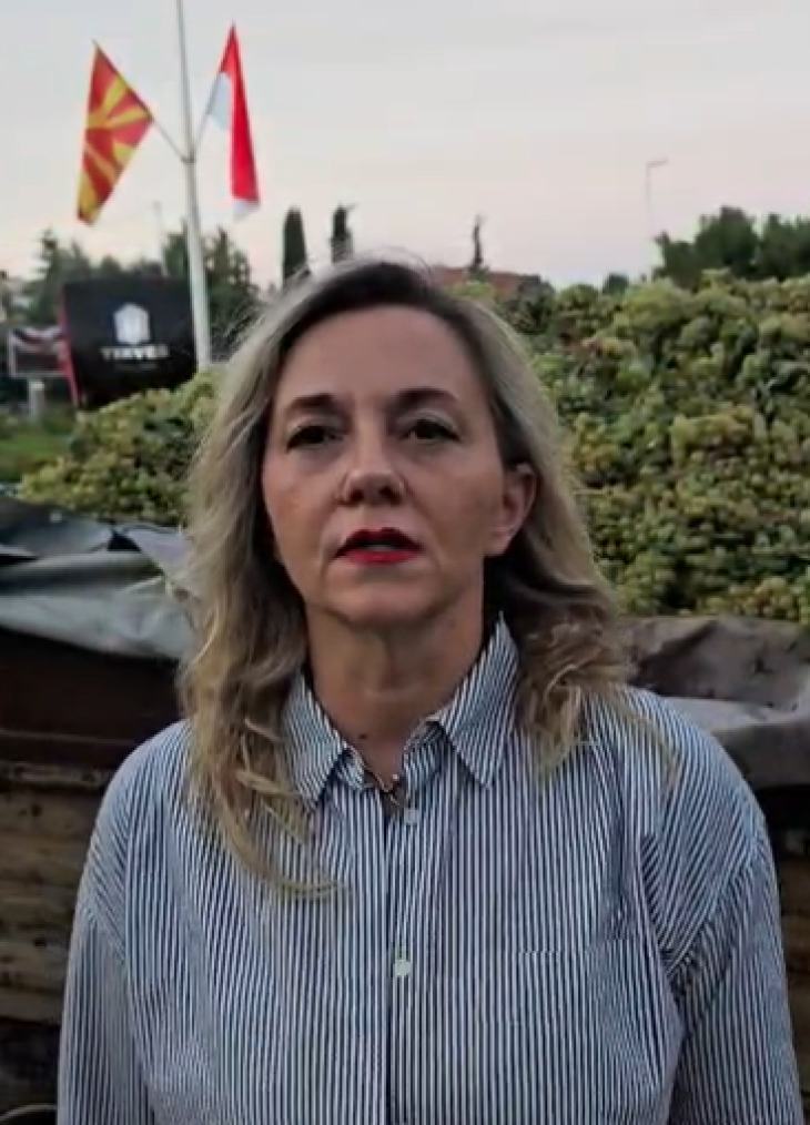 Каранфилова – Пановска: Лозарите се соочуваат со сериозни проблеми со откупот на грозјето