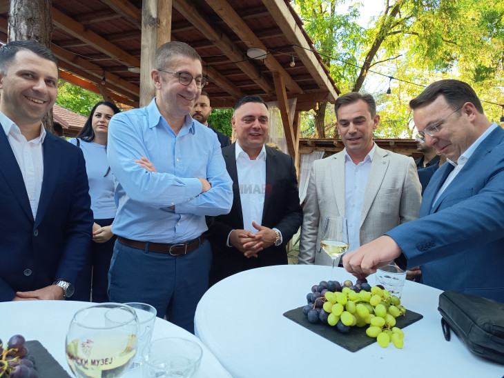 Премиерот Мицкоски меѓу гостите на „Тиквешкиот гроздобер“